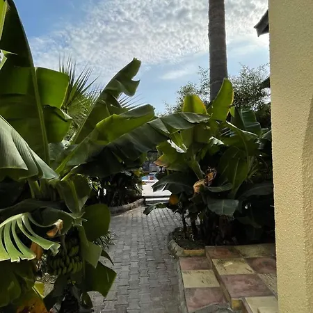 Hotel Club Alda Lapithos (Northern Cyprus)