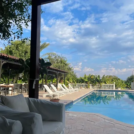 Club Alda Hotel
