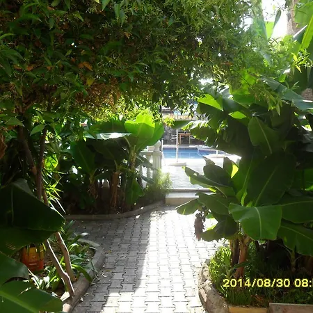 Hotel Club Alda 3*