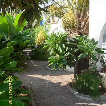 Club Alda 3*