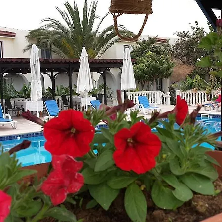 Hotel Club Alda Lapitos