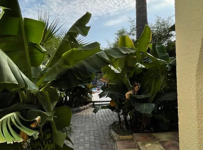 ホテル Club Alda ラピソス